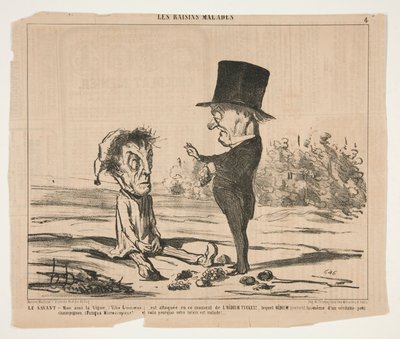 Der Gelehrte - Mein Freund, die Rebe (Vitis Linnoeus), wird gerade angegriffen von Honoré Daumier