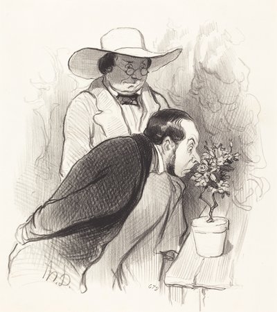 Ein Triumph des Botanikers von Honoré Daumier