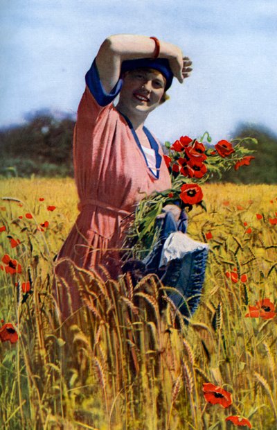 Die englische Rose, ca. 1922 von Horace Walter Nicholls