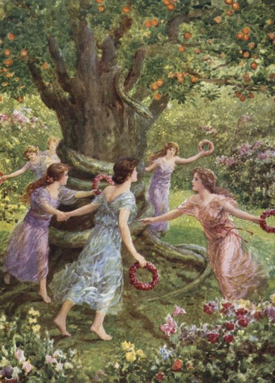 Perseus sah sie um den verzauberten Baum tanzen. Aus Wie Perseus die Gorgone tötete von Howard Davie
