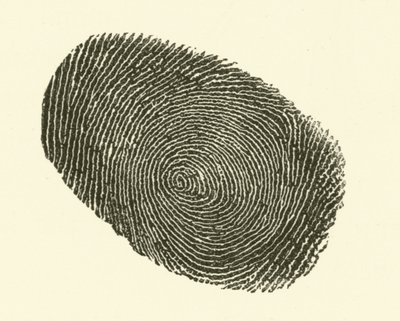 Fingerabdruck von Hugh Rowley