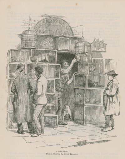 Ein Vogelgeschäft von Hugh Thomson