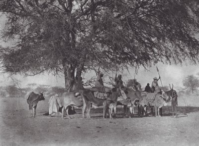 Afrika: Karawane von Ochsenreitern am Weißen Nil (s/w Foto) von Hugo Adolf Bernatzik