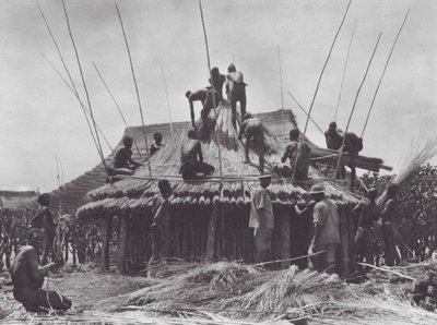 Afrika: Errichtung eines Rastplatzes in der Nähe von Amadi von Hugo Adolf Bernatzik