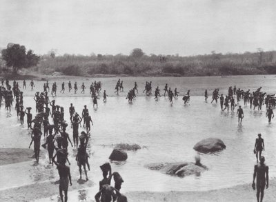 Afrika: Morus baut eine Brücke in der Nähe von Amadi von Hugo Adolf Bernatzik