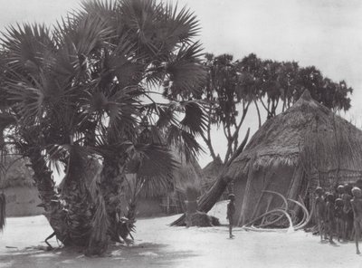 Afrika: Shilluk-Dorf am Weißen Nil von Hugo Adolf Bernatzik