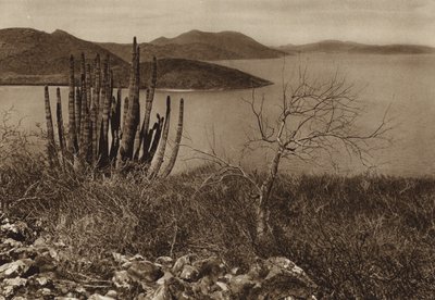 Mexiko: Nahe der Küste von Baja California von Hugo Brehme