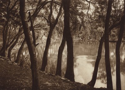 Mexiko: Die Brunnen von Tlalpam D F von Hugo Brehme