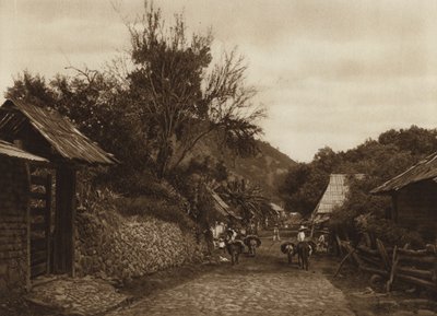 Mexiko: Die Umgebung von Uruapam von Hugo Brehme