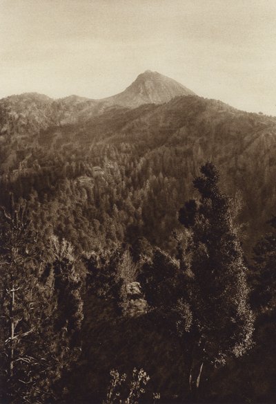Mexiko: Nevado de Colima, Teilansicht von Hugo Brehme