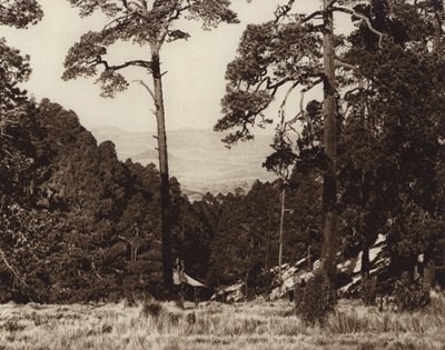 Mexiko: Wildes Panorama am Fuße des Pico de Orizaba von Hugo Brehme