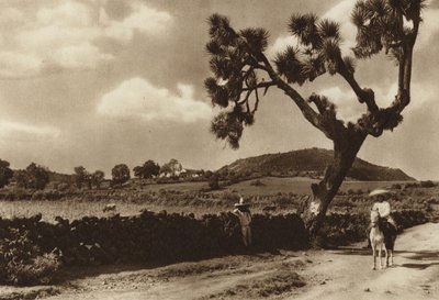 Mexiko: Patzcuaro, Der Kalvarienberg, Staat Michoacan von Hugo Brehme