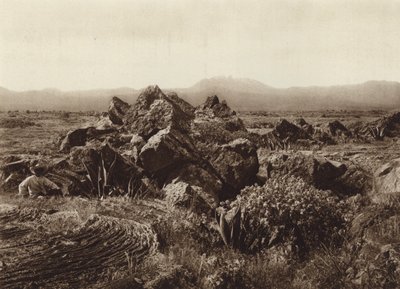 Mexiko: Pedregal, Basalt-Lavastrom nahe San Angel von Hugo Brehme