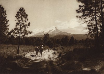 Mexiko: Weg zum Pico de Orizaba von Hugo Brehme