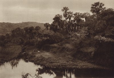 Mexiko: Tamasopo, Palmenlandschaft von Hugo Brehme