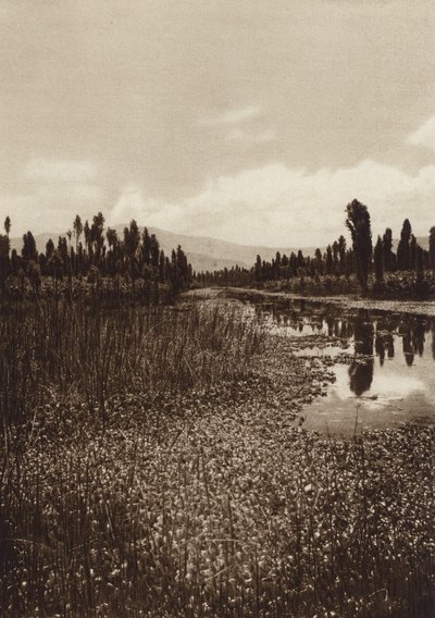 Mexiko: Xochimilco, Einer der Hauptkanäle von Hugo Brehme