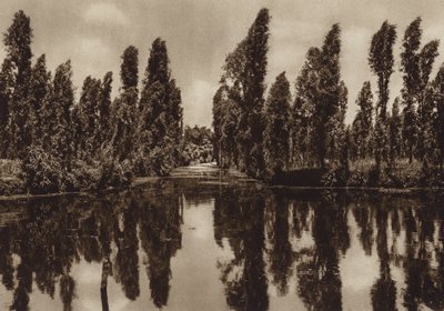 Mexiko: Xochimilco mit den sogenannten "Schwimmenden Gärten" von Hugo Brehme