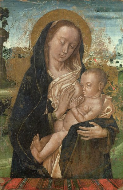 Die Jungfrau Maria beruhigt das Jesuskind von Hugo van der studio of Goes