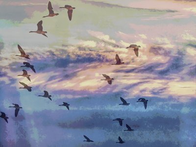 Fliegende Gänse Sonnenuntergang Himmel von Ida Publishing