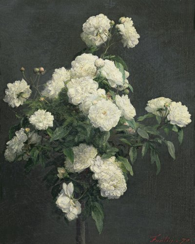 Stillleben mit weißen Pfingstrosen, 1870 von Ignace Henri Jean Fantin Latour