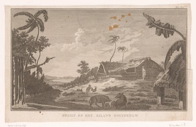 Ansicht der Insel Nomuka im Pazifik vom Land aus von Ignaz Sebastian Klauber (possibly)