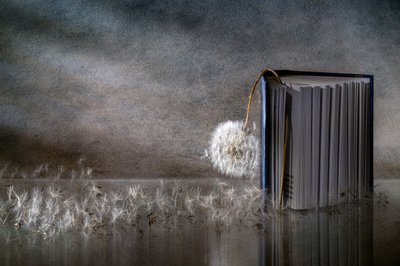 Löwenzahn Buchreflexion von Igor Kopcev
