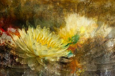 Goldene Lotusblüte von Igor Kopcev