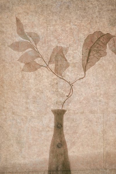 Zarte Sepia-Botanicals von Igor Tokarev