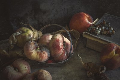 Stimmungsvolle Herbstfrucht von Igor Tokarev