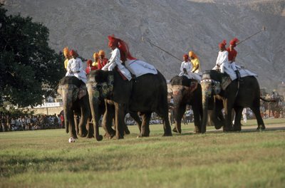 Männer spielen Elefanten-Polo von Indian Photographer