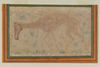 Ein abgemagertes Pferd (Mughal oder Deccan, Mitte des 17. Jahrhunderts) von Indian School
