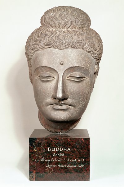 Kopf einer Buddha-Statue, aus Gandhara, Nordwestindien (grauer Schiefer) von Indian School