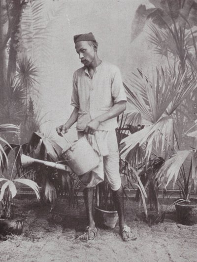 Bombay / Mumbai: Gärtner von Indian photographer