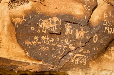 Ein Petroglyph auf einem Felsen mit einem Bison und einem weiteren trächtigen Bison bei Willow Bend, 2005 (Foto) von Ira Block