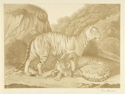 Zwei Tiger in einer Landschaft von Isaac van Haastert (signed by artist)