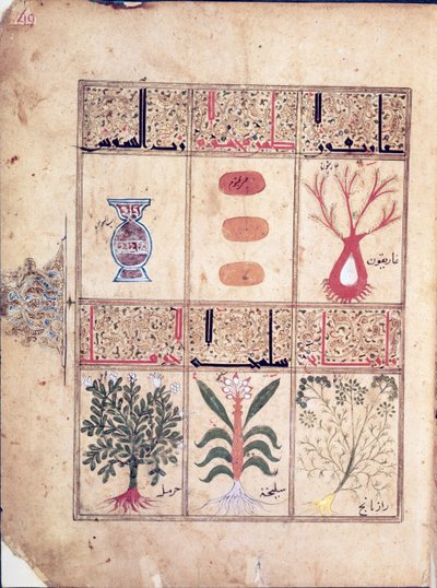 Ms. Arabe 2964 fol.49 Pflanzen aus dem Traktat über Theriak nach Galen, 1217 von Islamic School