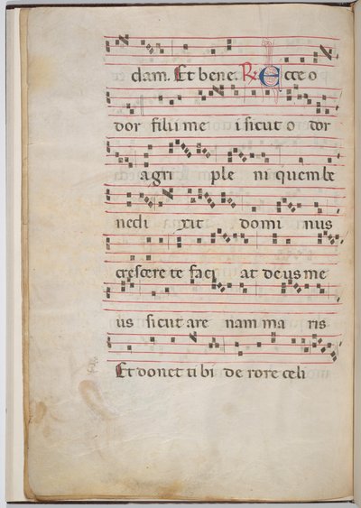 Blatt 8 aus einem Antiphonar-Fragment (verso) von Italian 13th Century