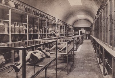 Interno del Museo, Das Innere des Museums von Italian Photographer