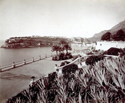Panorama von Montecarlo. Im Vordergrund dichte Vegetation aus Agaven und Kakteen von Italian Photographer