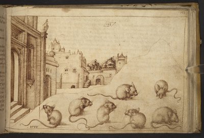 Mäuse (
