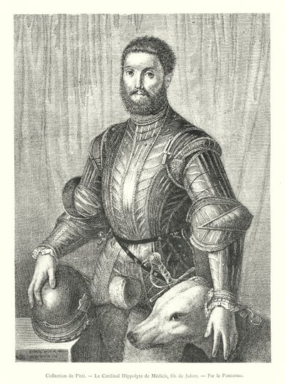 Sammlung von Pitti, Kardinal Hippolyte de