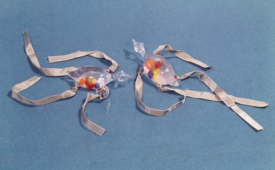 Kopie von zwei medizinischen Thermometern aus dem Museo di Storia della Scienza in Florenz (Glas & Band) von Italian School