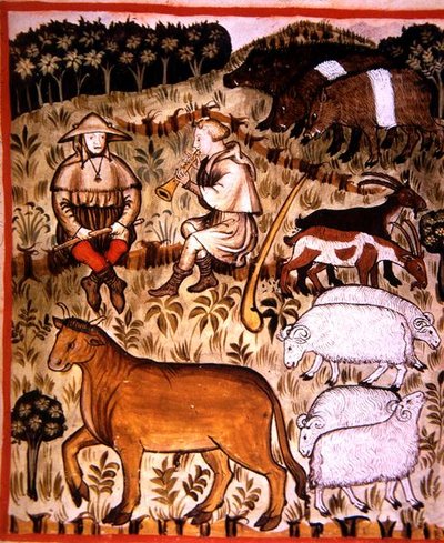 Fol.71r Kastrierte Tiere, Illustration aus 