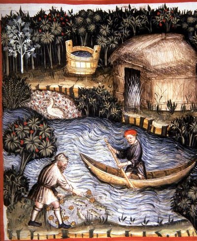 Fol.82r Frischer Fisch, Illustration aus 