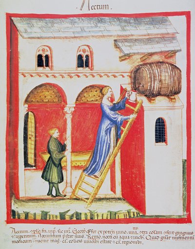 Essig, Illustration aus Tacuinum Sanitatis Codex Vindobonensis von Italian School