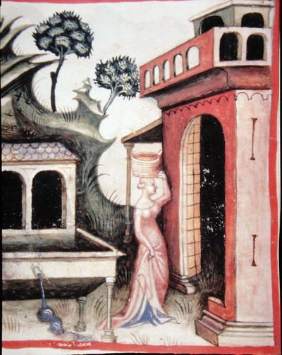 Fol.88v Quellwasser, Illustration aus 