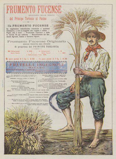 Frumento Fucense von Italian School