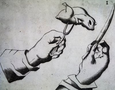 Wie man einen Vogel zerlegt, Illustration aus Li tre trattati di messer Mattia Giegher bavaro di Mosburc, Trinciante dell