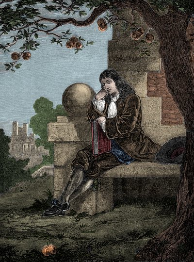 Isaac Newton beobachtet einen Apfel, der zu Boden fällt, während er unter einem Baum sitzt. von Italian School
