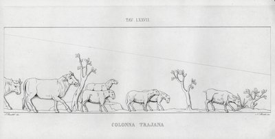 La Colonna Trajana, Trajanssäule von Italian School